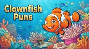Funny clownfish underwater